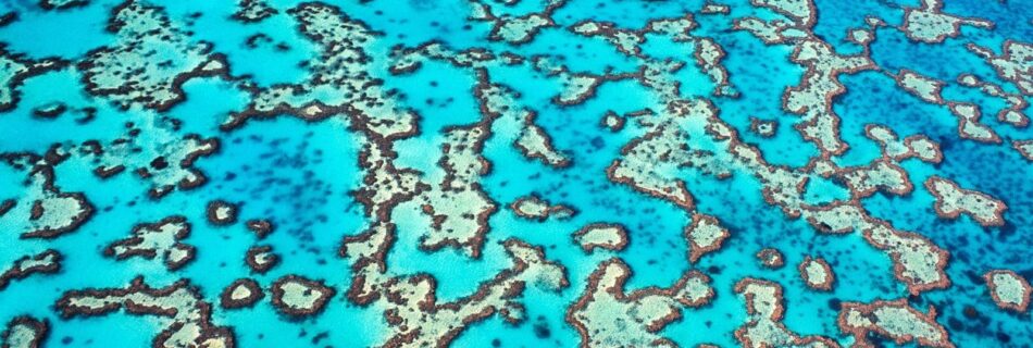 Wonders of the Great Barrier Reef