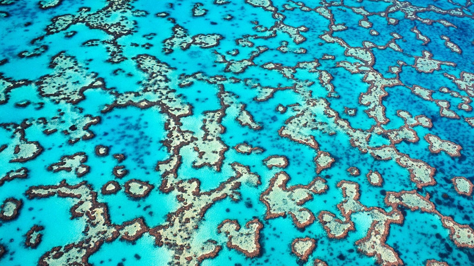 Wonders of the Great Barrier Reef