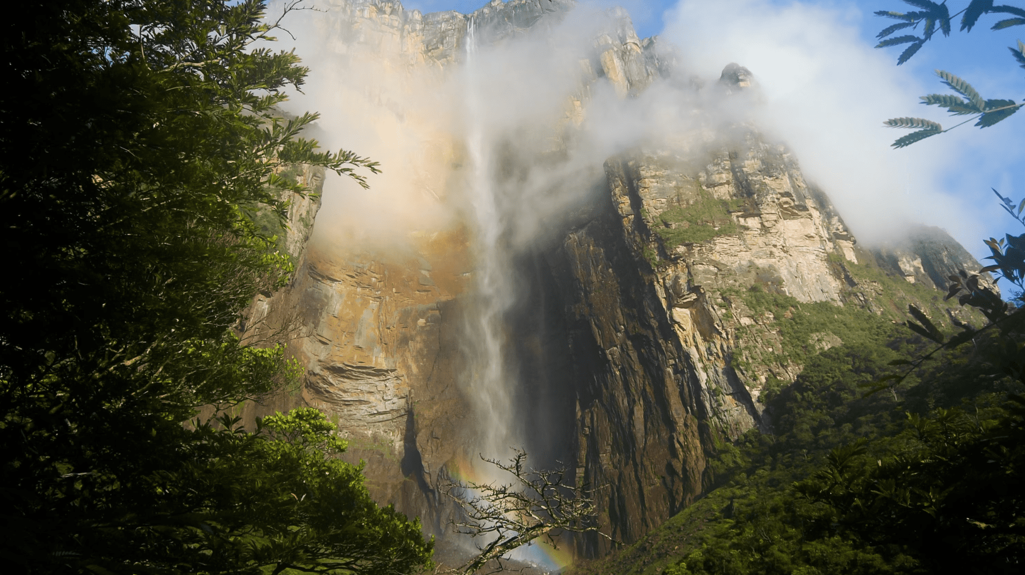 the Majestic Salto Ángel