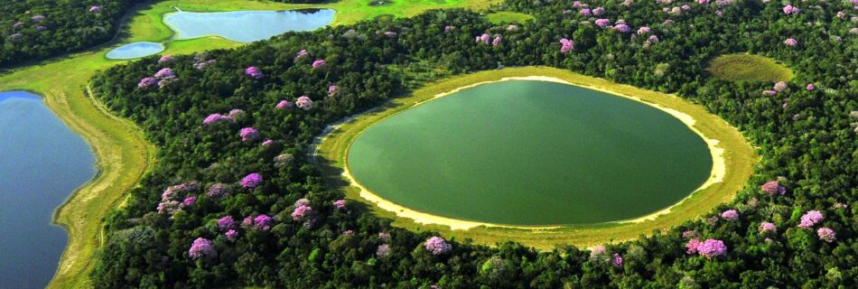 The Pantanal, Earth's largest tropical wetland