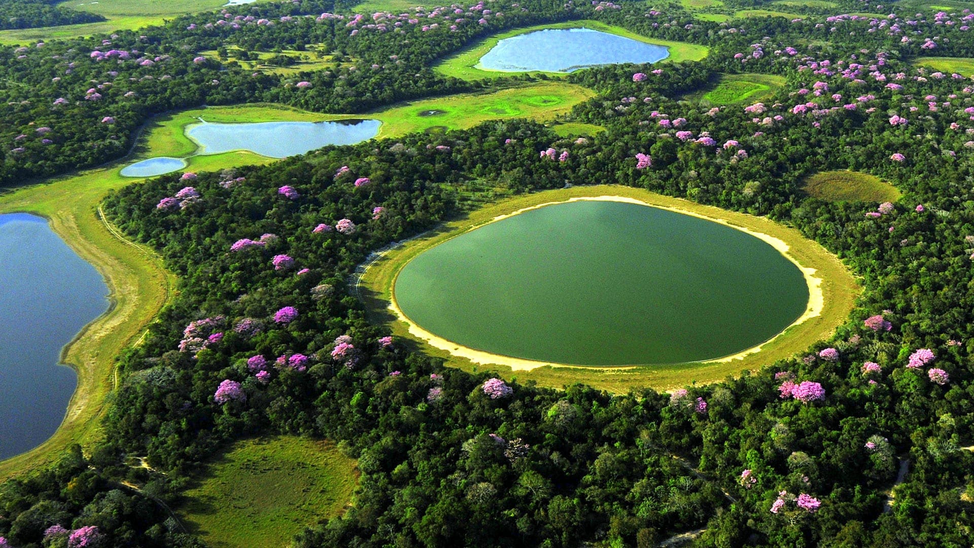 The Pantanal, Earth's largest tropical wetland